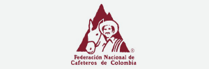 federacion